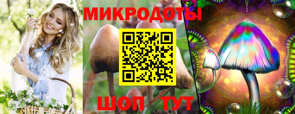 Псилоцибиновые грибы мицелий Елабуга