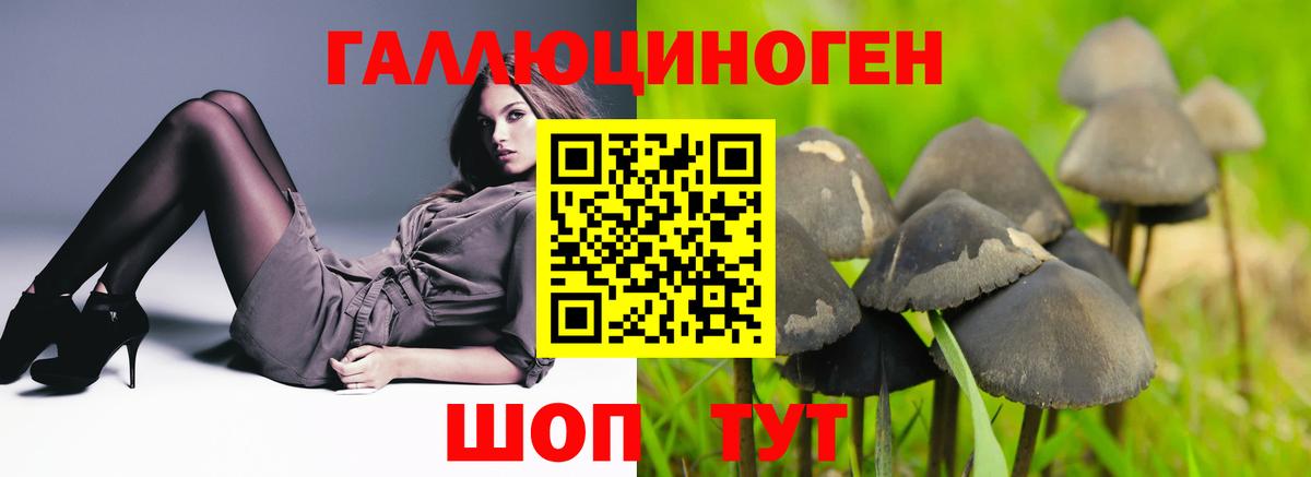 Псилоцибиновые грибы MAGIC MUSHROOMS  Галлюциногенные грибы Psilocybe  Елабуга  Вход с VPN 
