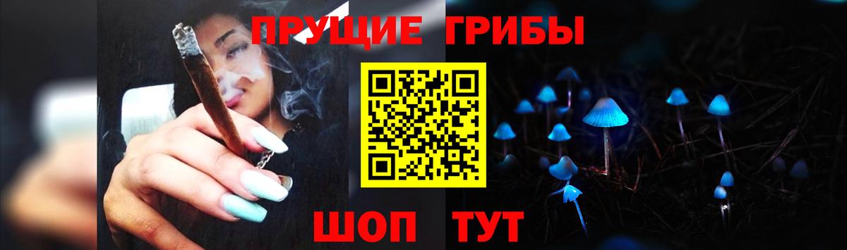 Псилоцибиновые грибы MAGIC MUSHROOMS  Елабуга  Галлюциногенные грибы Psilocybine cubensis 